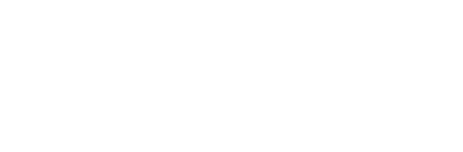 CEMSA Carnicerías B2B